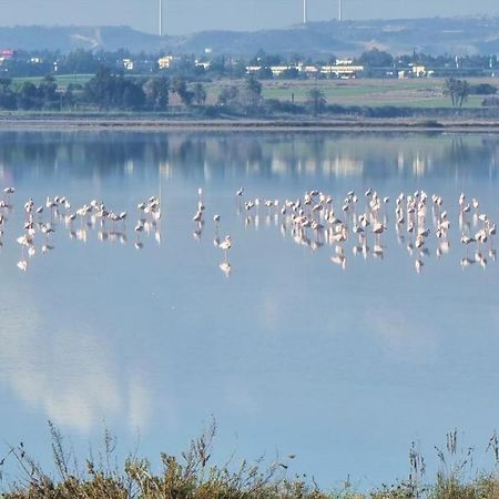 Cozy Beach Apt / 100 Mbit+ Netflix / Near Airport Larnaca Bagian luar foto