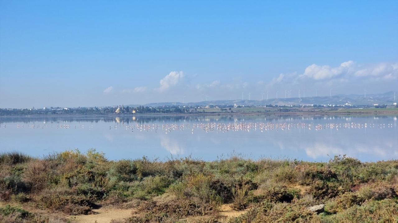 Cozy Beach Apt / 100 Mbit+ Netflix / Near Airport Larnaca Bagian luar foto